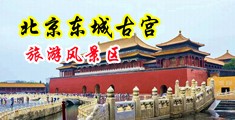 爆乳骚逼中国北京-东城古宫旅游风景区
